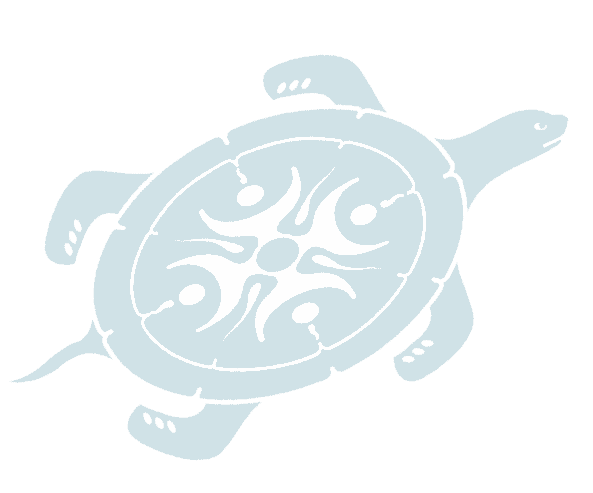 clear-turtle